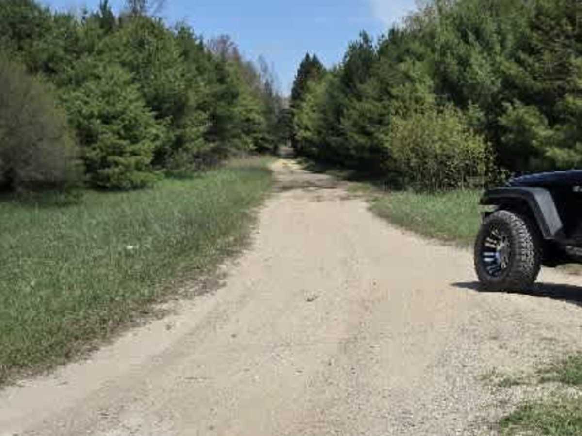 9991914 trail photo