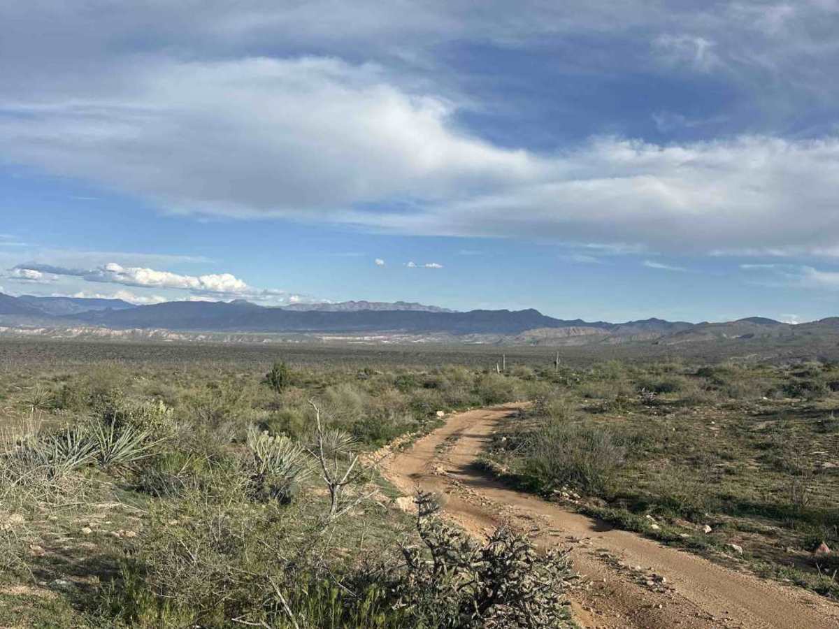 FS 1457 trail photo