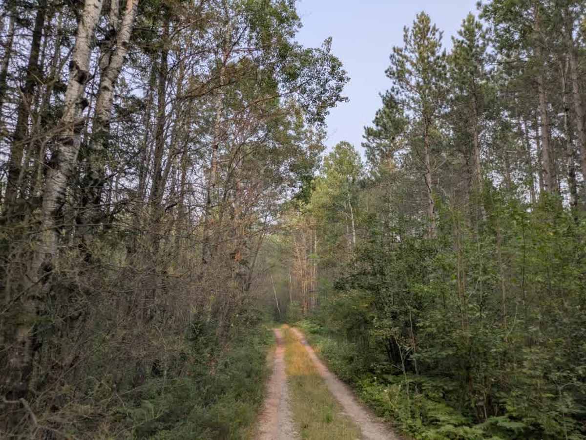 Picket River trail photo