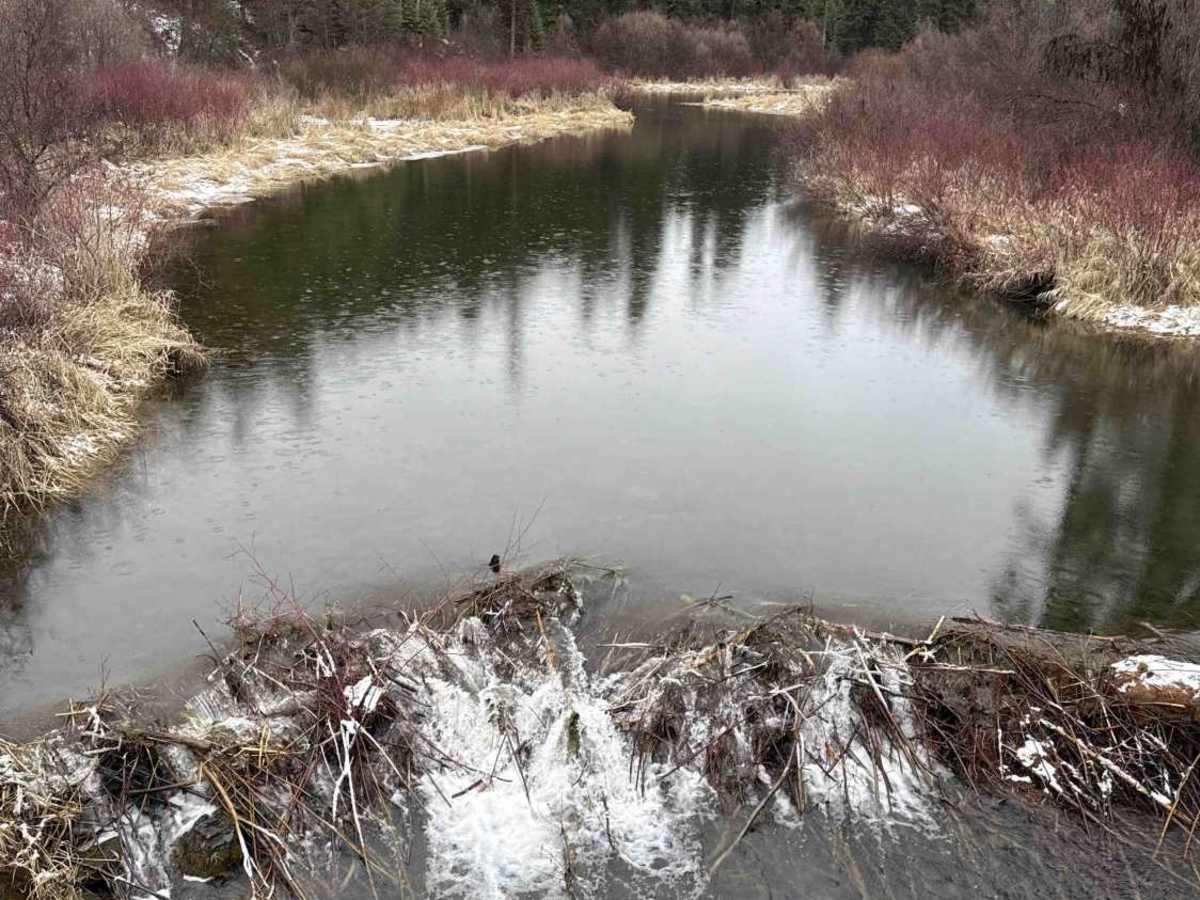 Thompson River Road photo 3