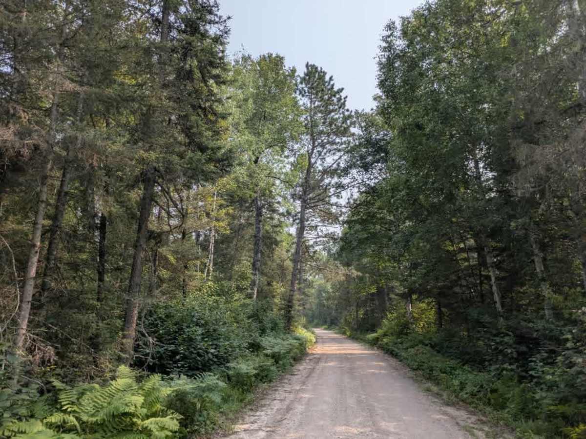 Moose River Access trail photo