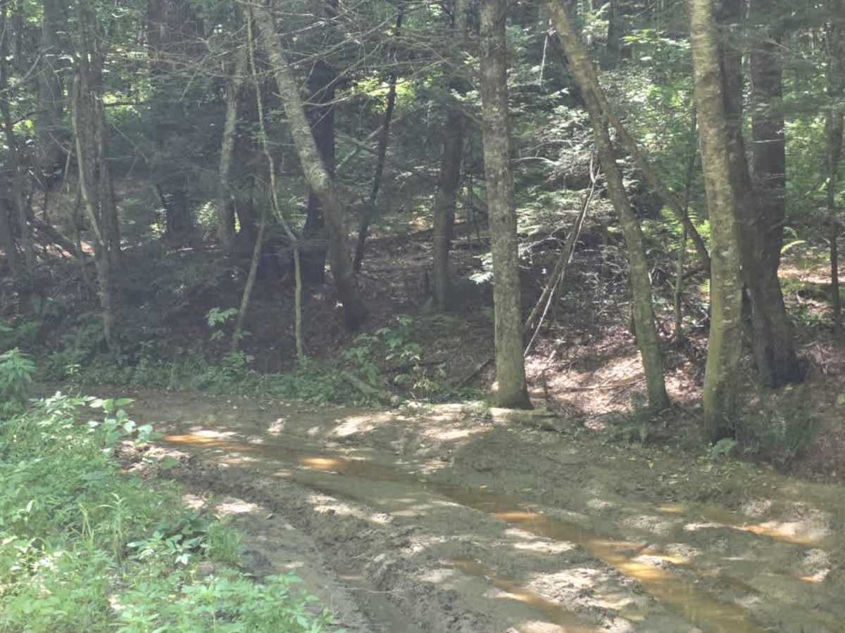 Locust Thorn Ridge photo 3