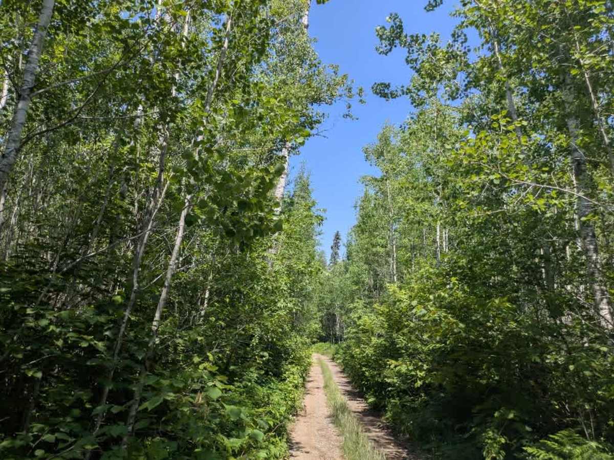 Mitiwan Lake trail photo