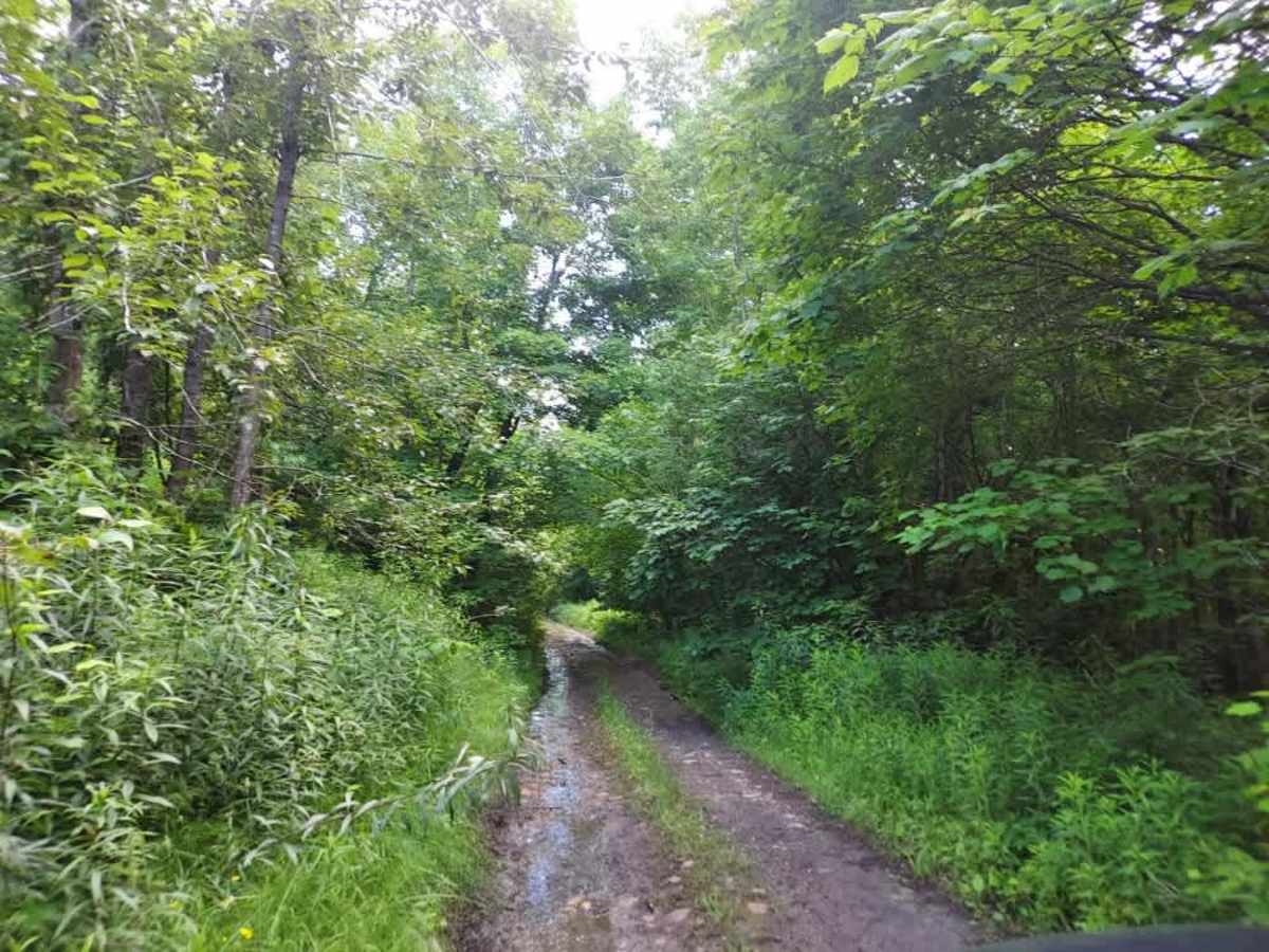 Kittridge Pasture Road trail photo