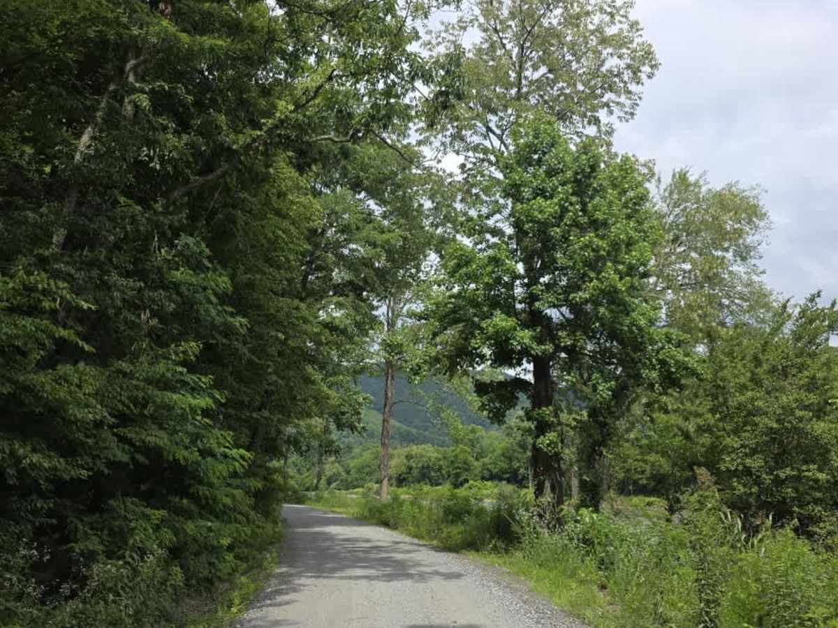 River Road photo 6