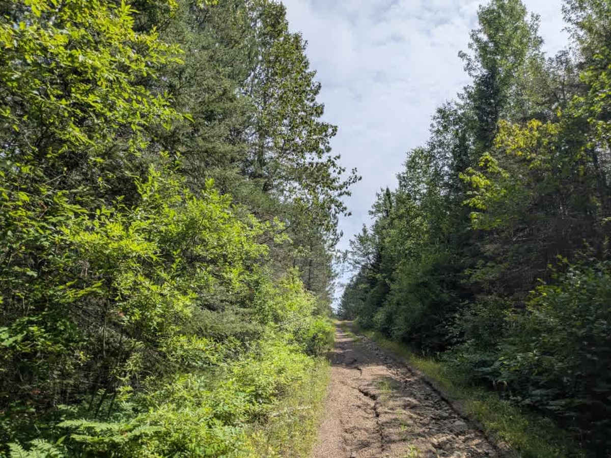 Mud Creek - FS 324 trail photo