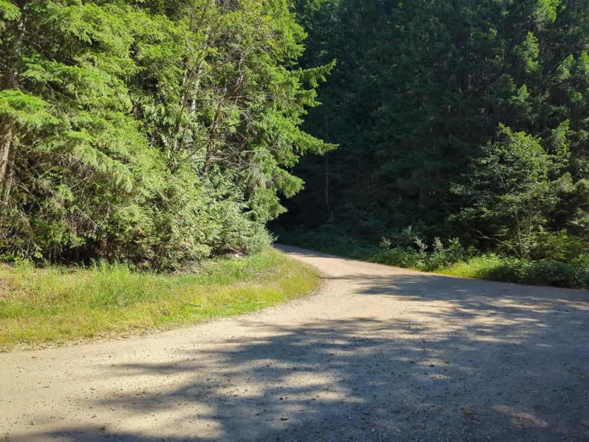 Evans Lake & Black Rock Lake trail photo