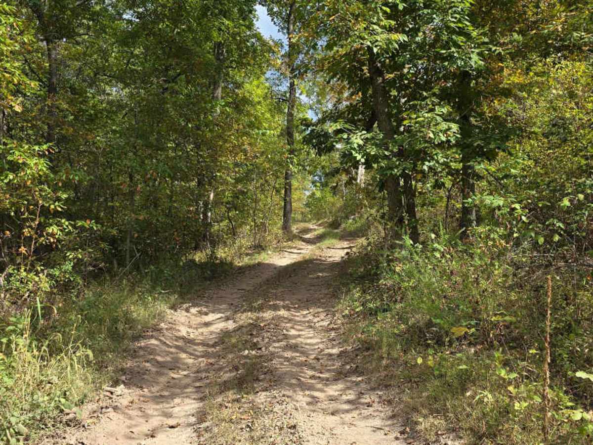 Fresno Trail photo 2