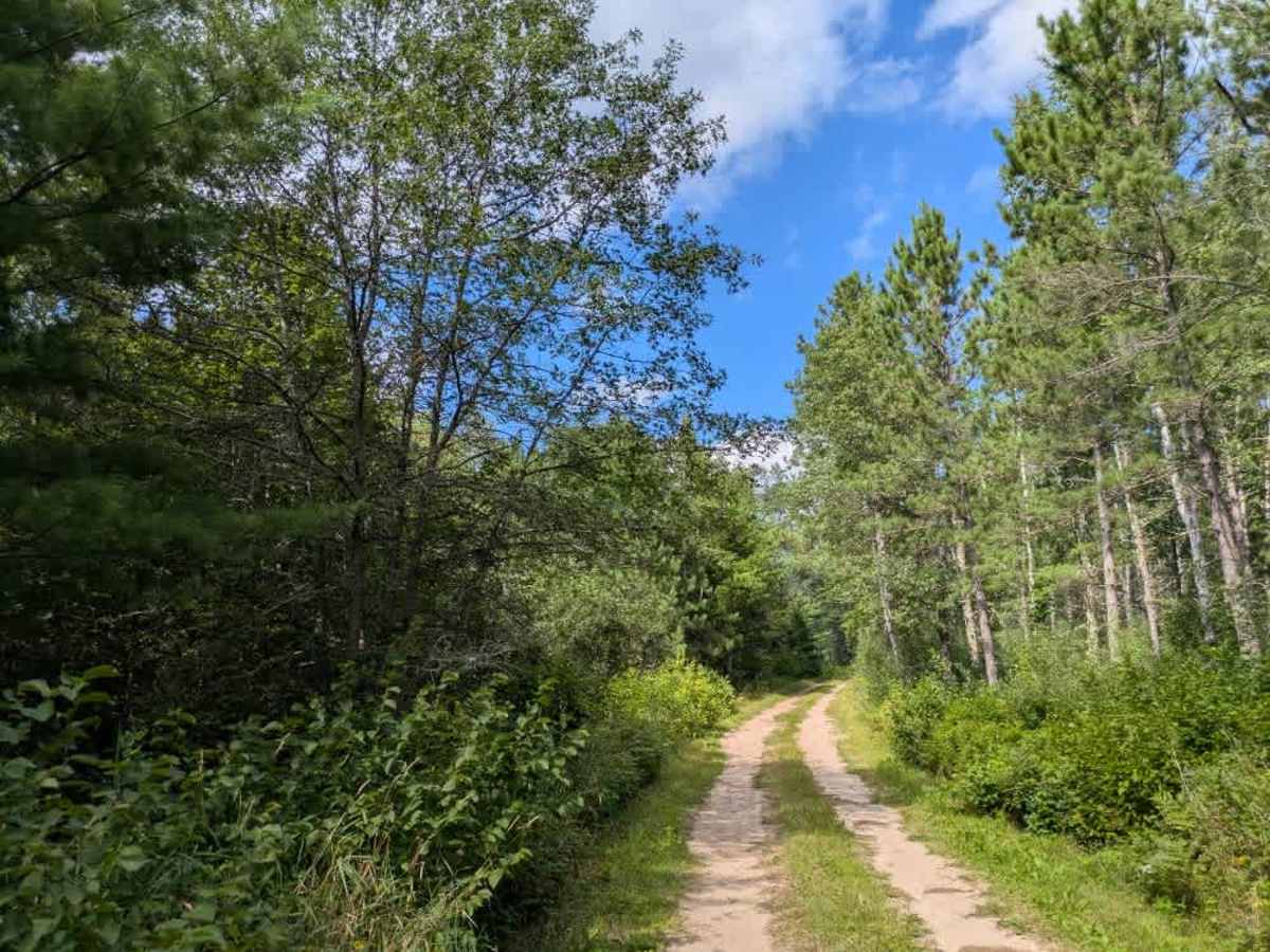  North Winnie Camp Lane trail photo