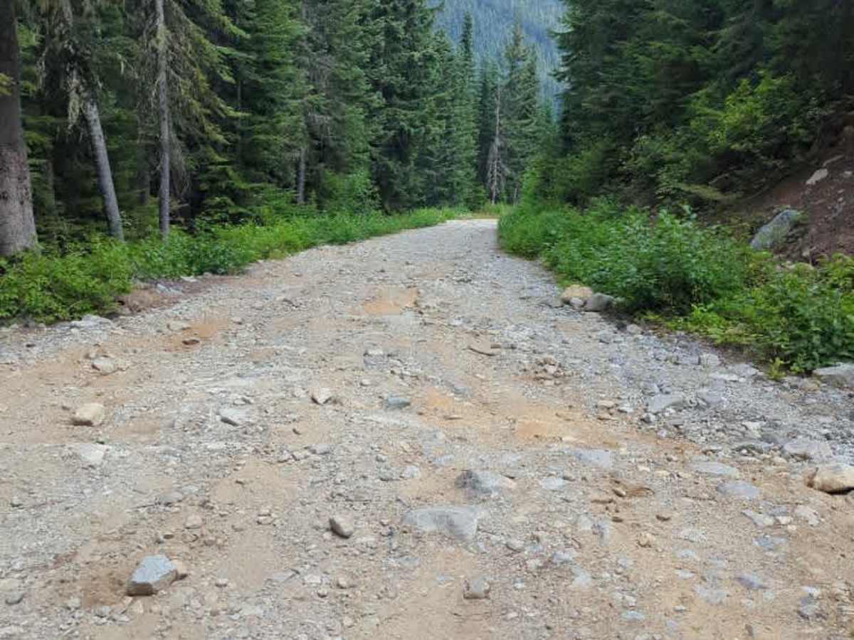 Upper Mill Creek Road trail photo