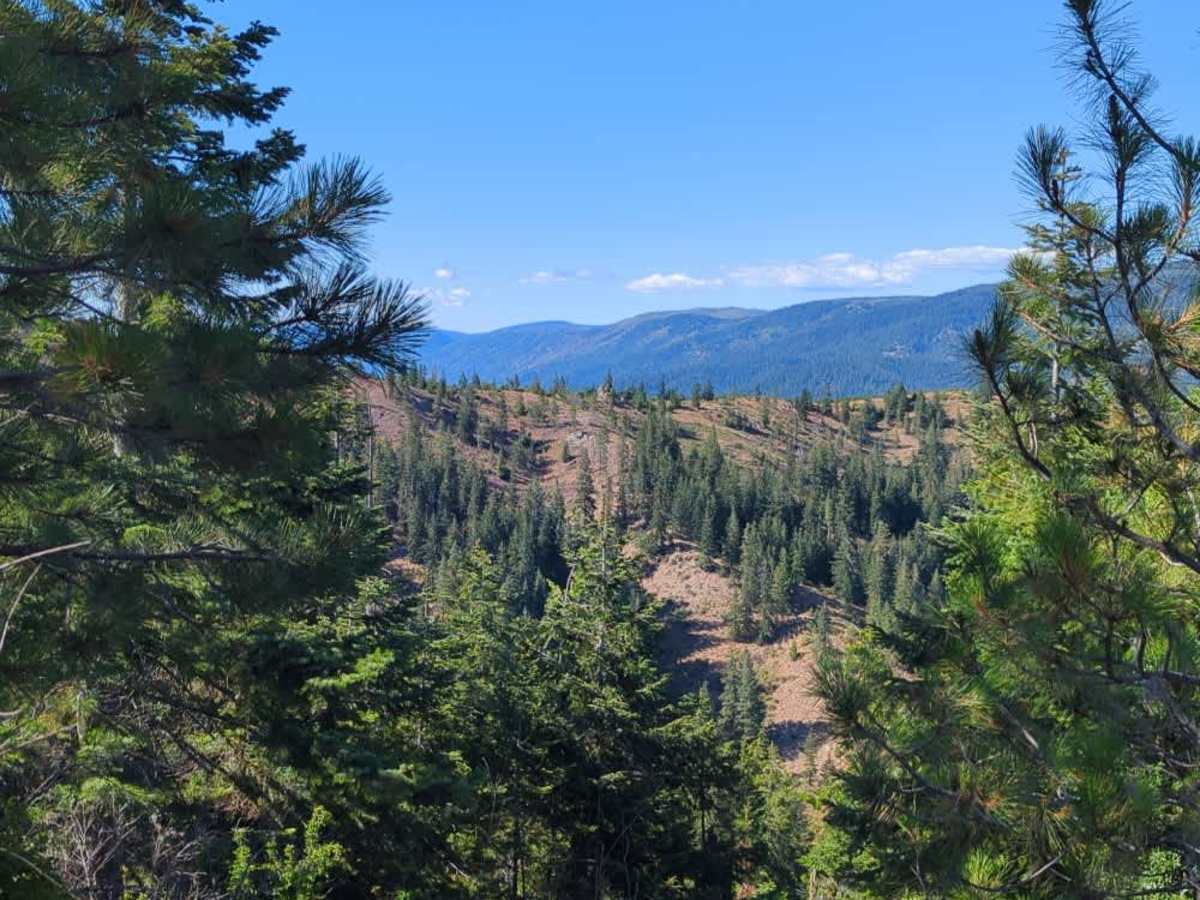 West Railroad Canyon - South trail photo