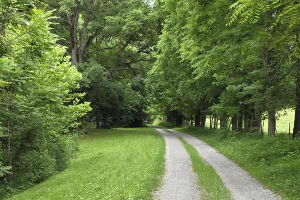 Wix Hollow Road - Macon County Tour