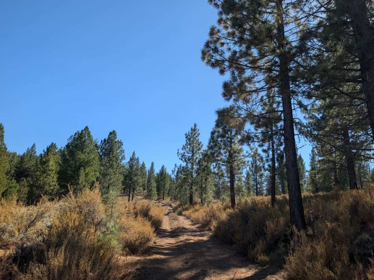 FS 26N05 trail photo