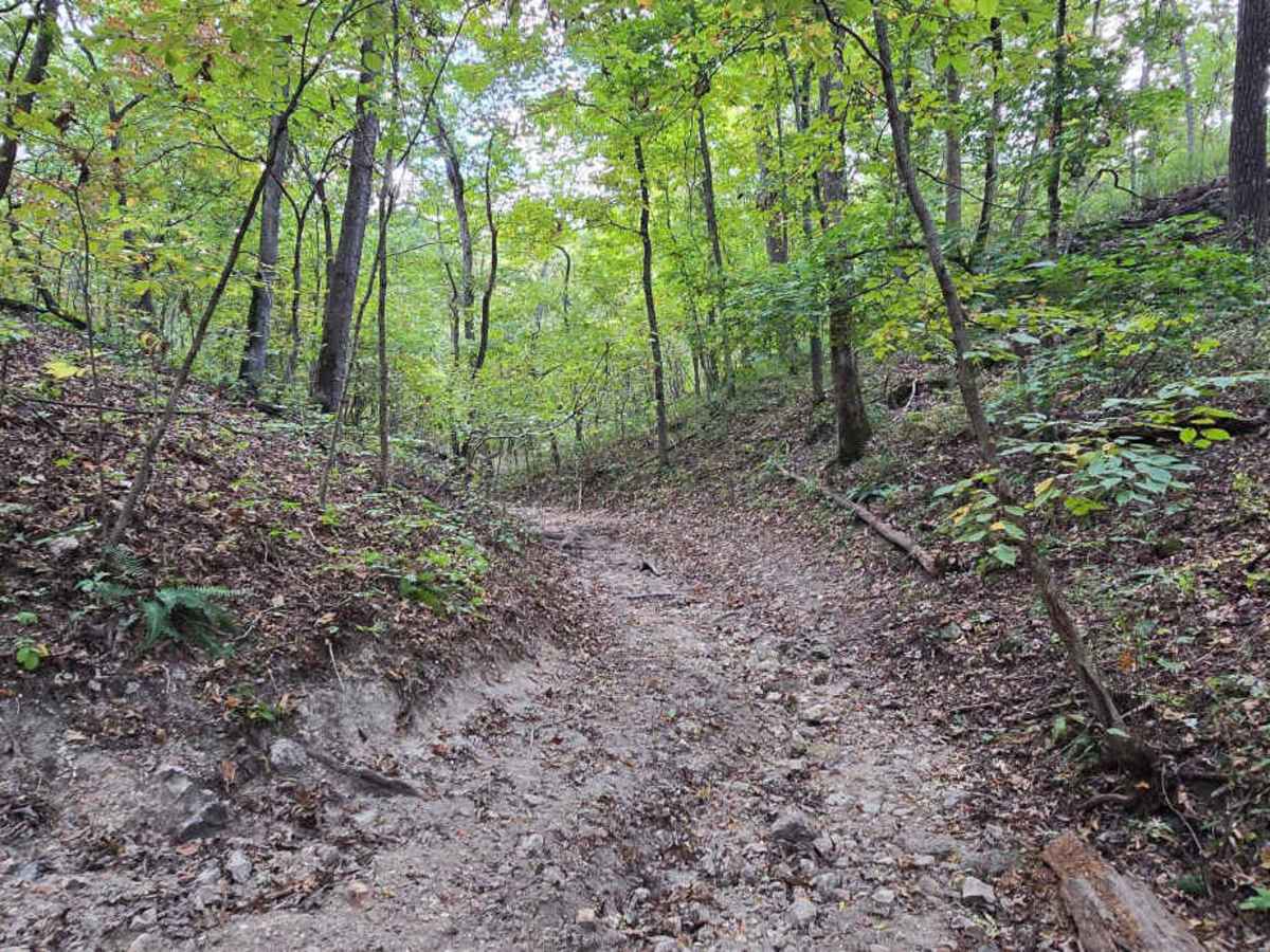 Barely Hung Trail photo 5