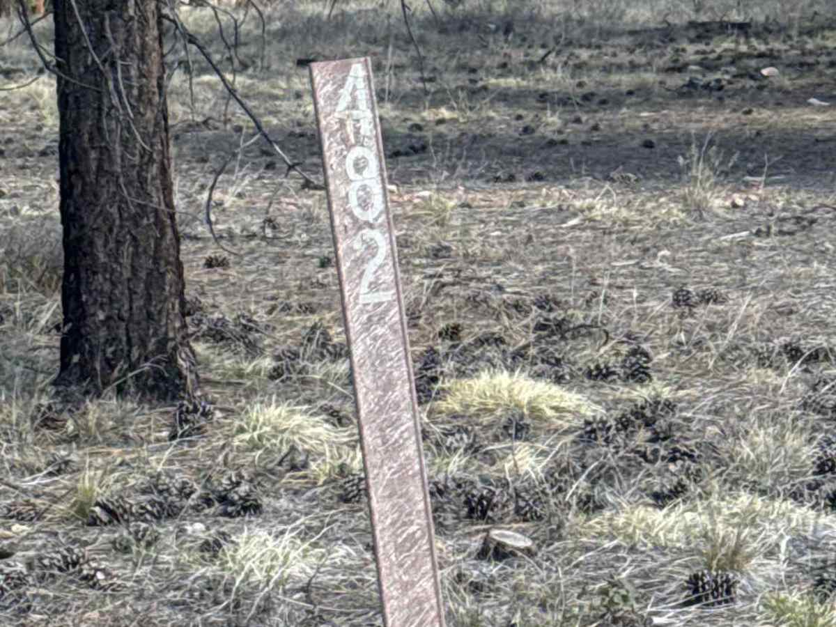 FS 482 trail photo