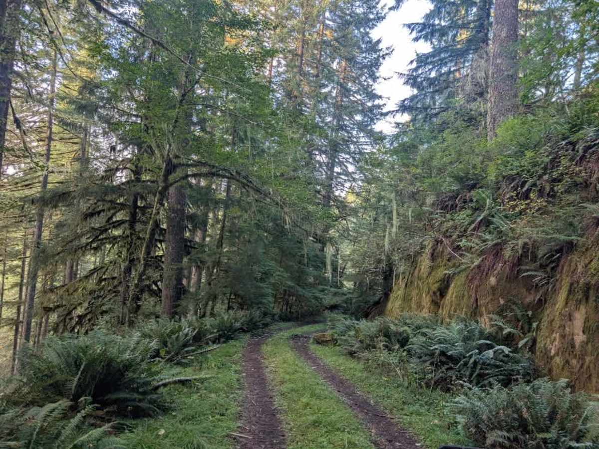 1740 trail photo