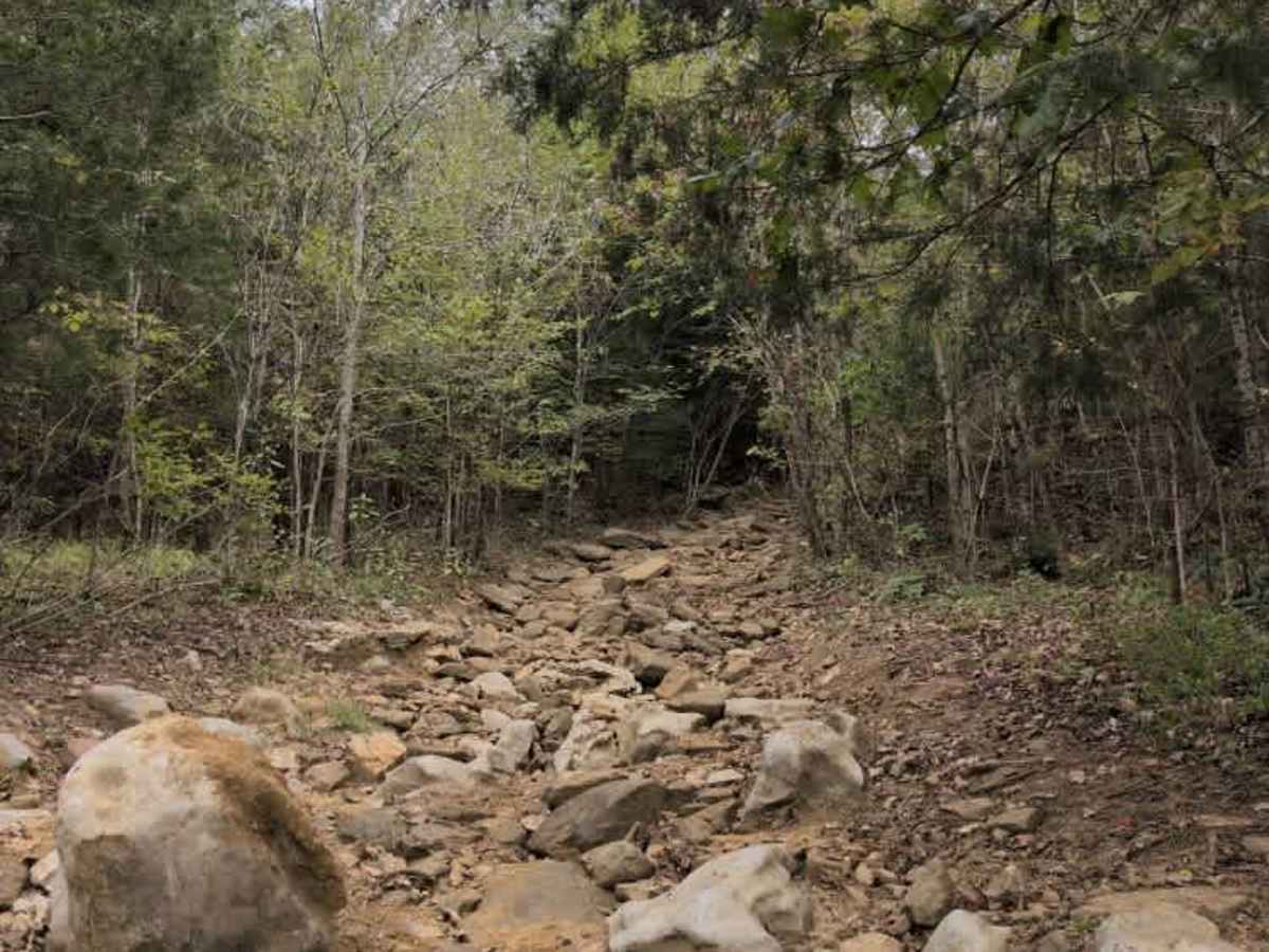 #56 Ol' No. 21 trail photo