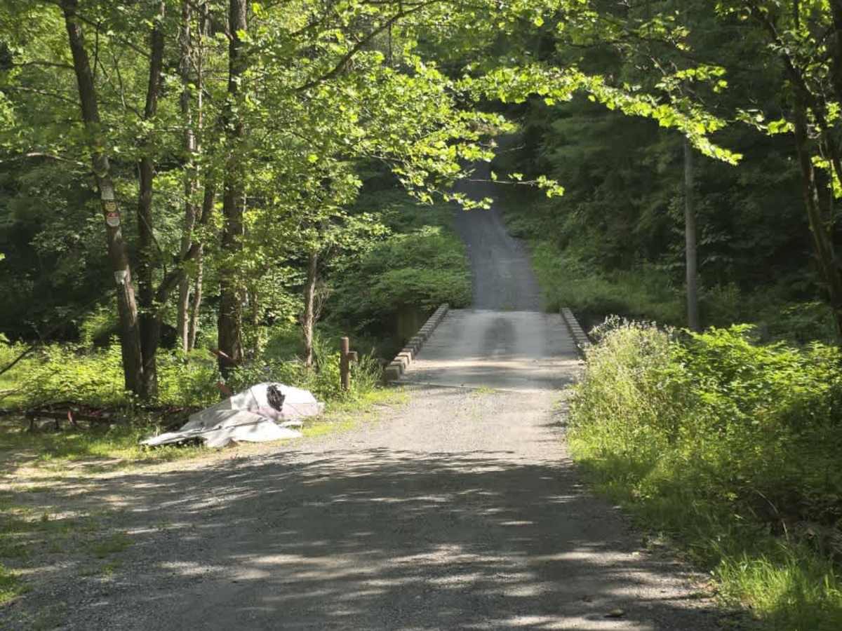 Puncheon Camp Road photo 6