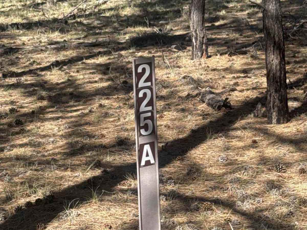 FS 225A trail photo