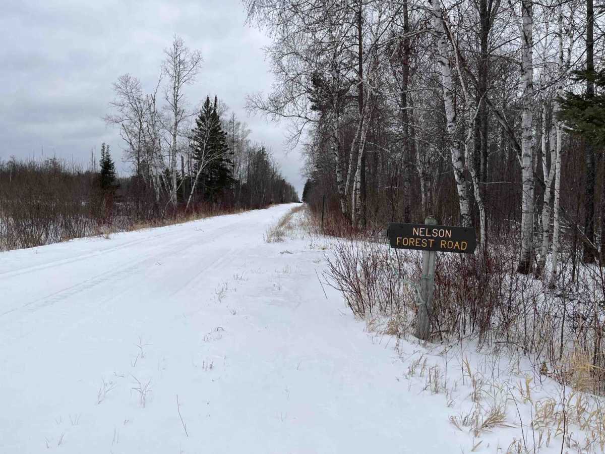 Nelson Forest Road trail photo