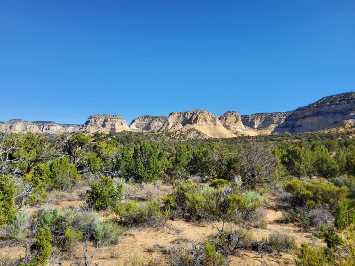 BLM 103S trail photo