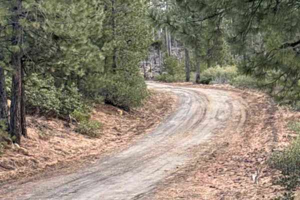 Forest Road 4613-000