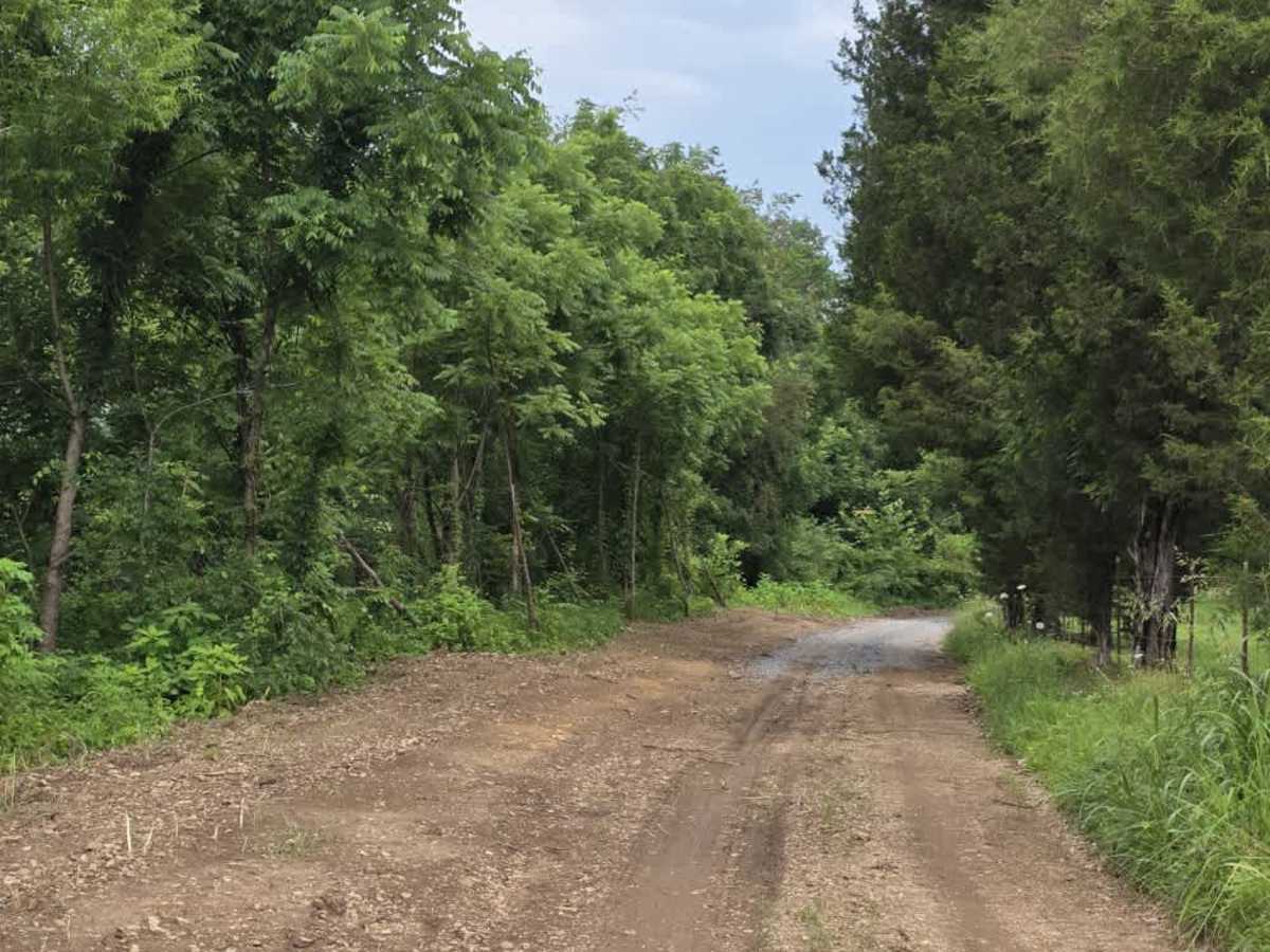Wix Hollow Road - Macon County Tour photo 6
