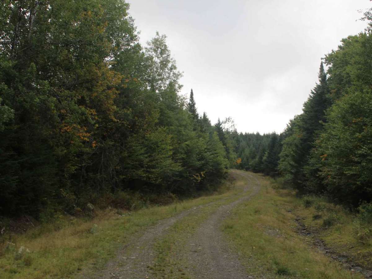 27-20 Trail photo 4