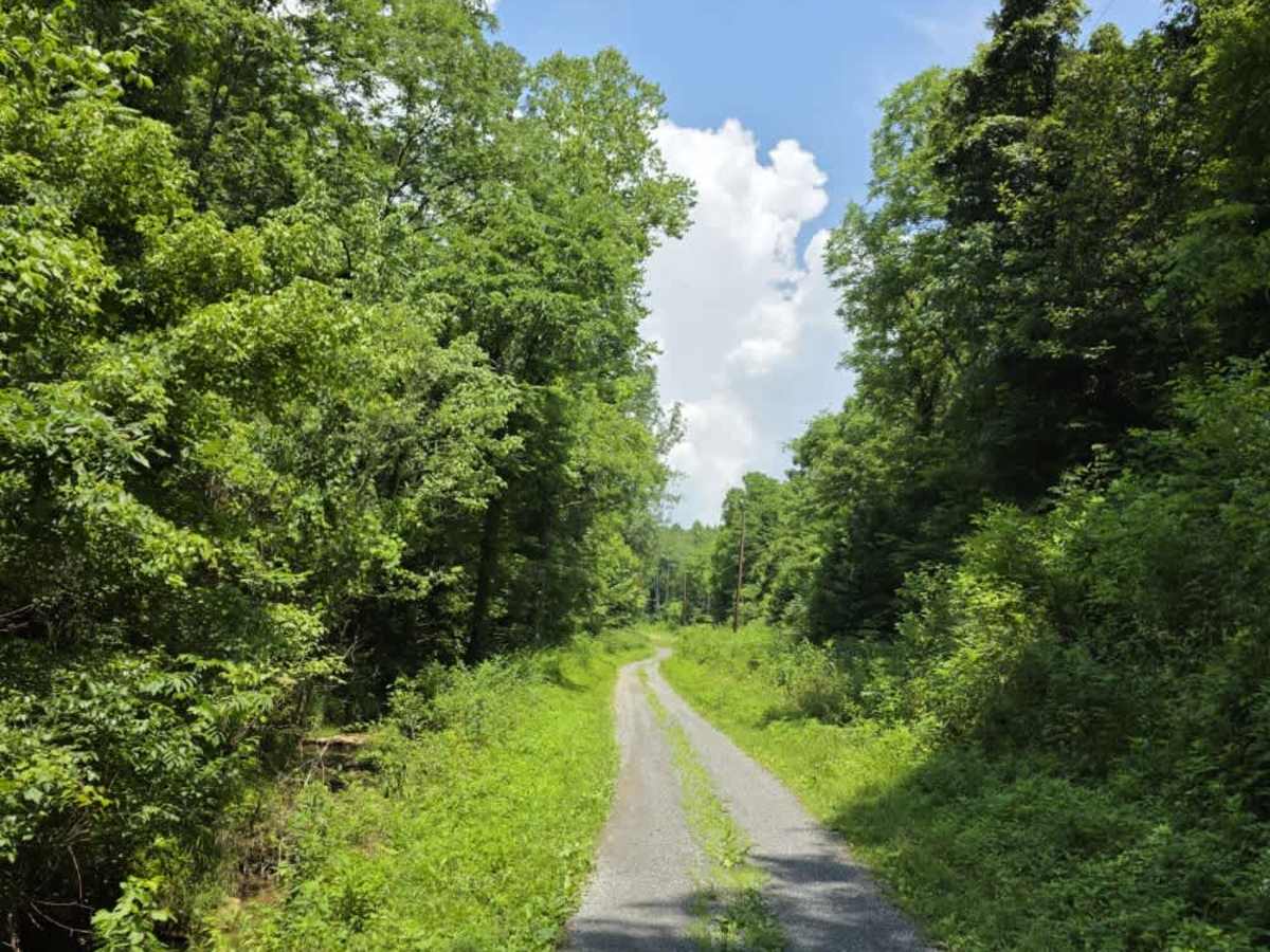 Sneed Hollow Road photo 6