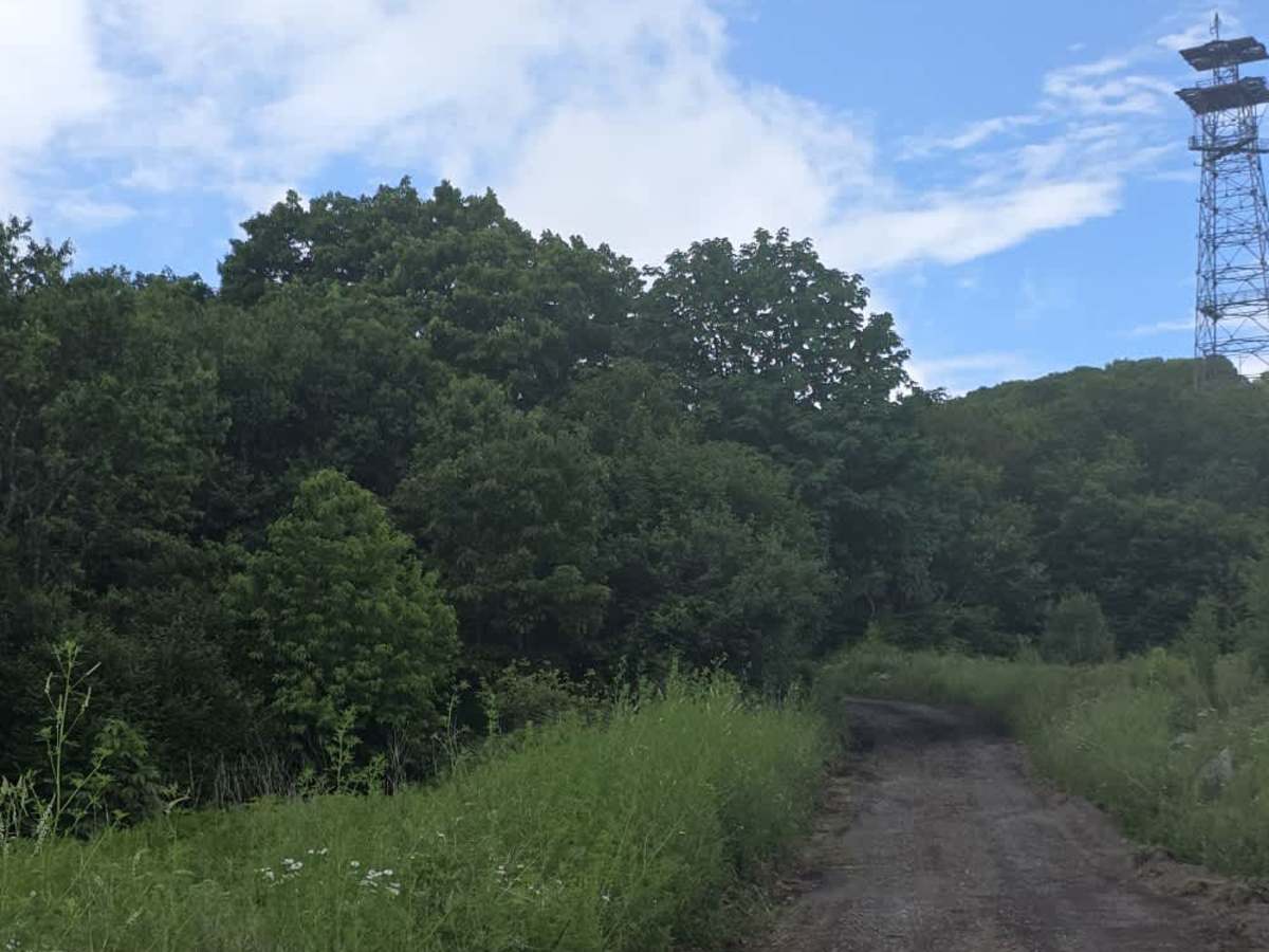 Camp Creek Bald photo 5