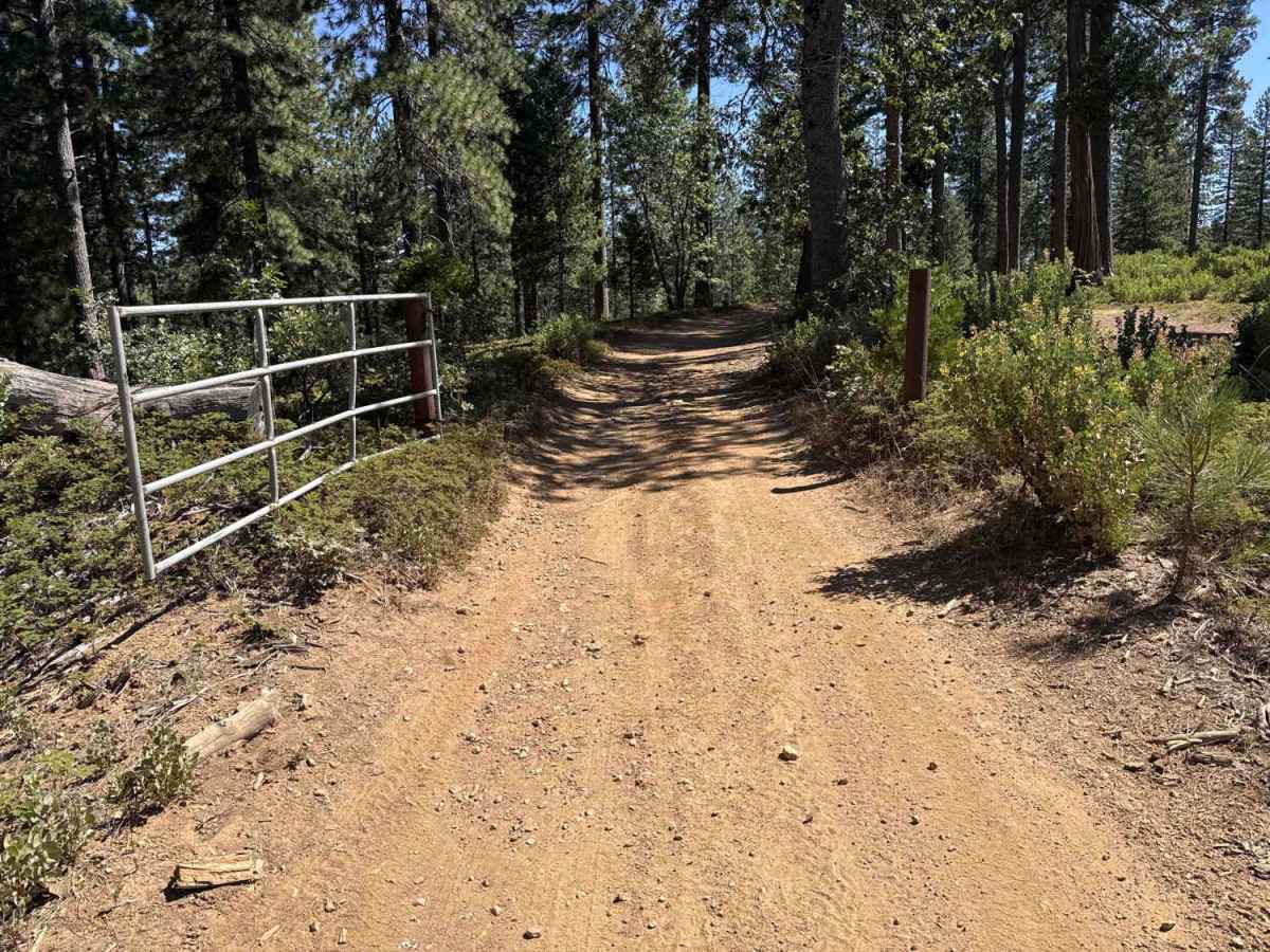 FS 5N56 trail photo