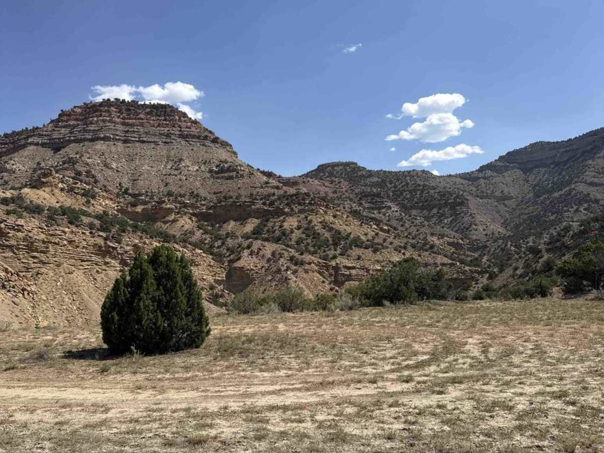 BLM 149 photo 5