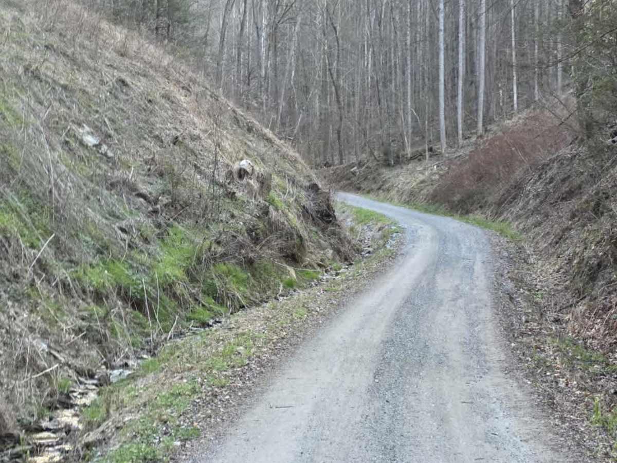 Sams Branch Road photo 5