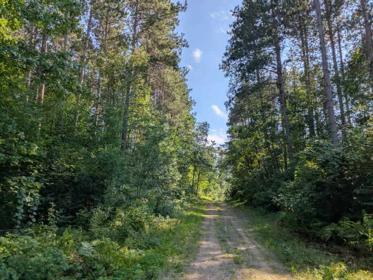 3902 trail photo