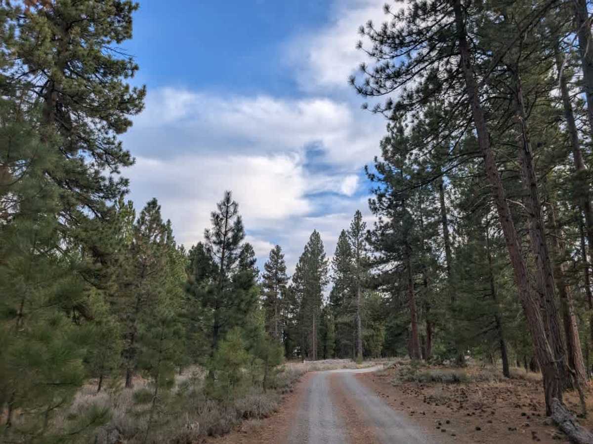 FS 24N55Y trail photo
