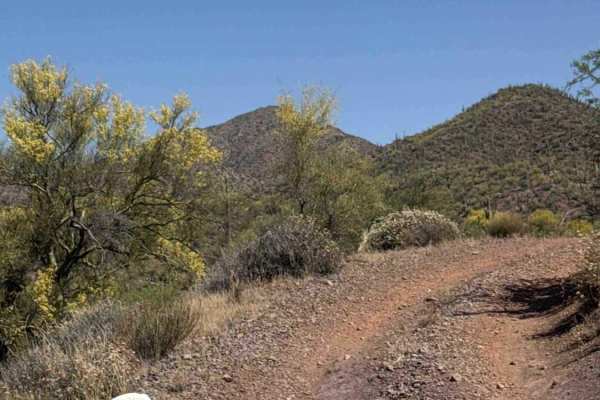 Castle Creek Road Copperopolis 