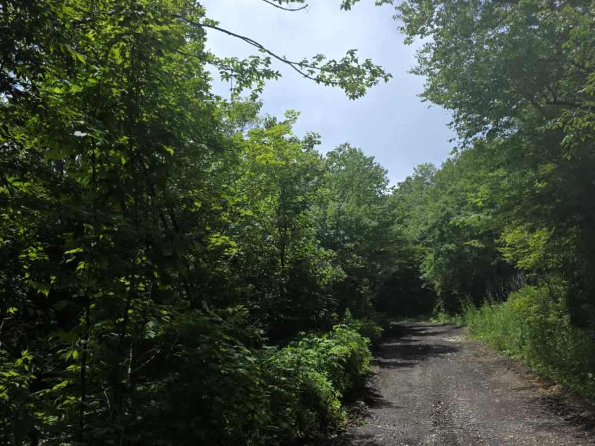 Camp Creek Bald photo 4