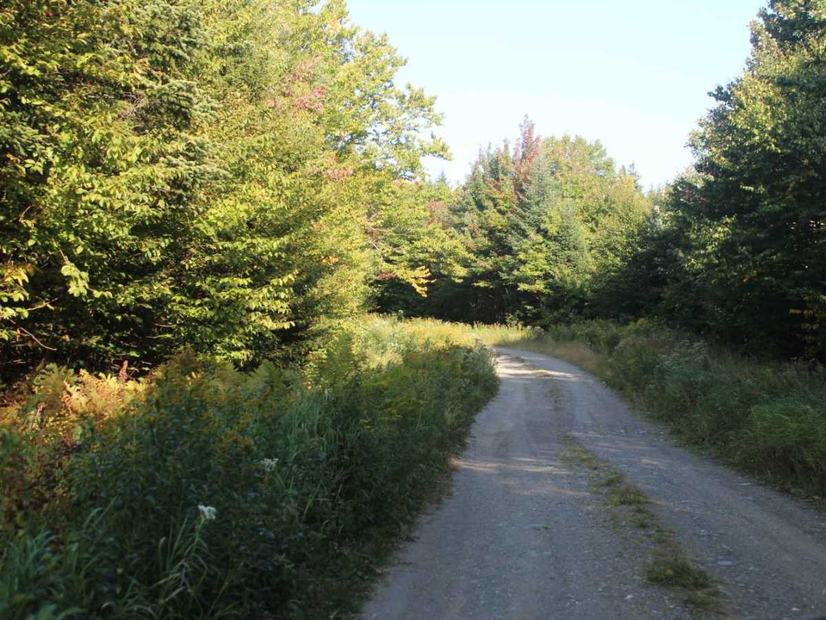 Stub Hill Road photo 6