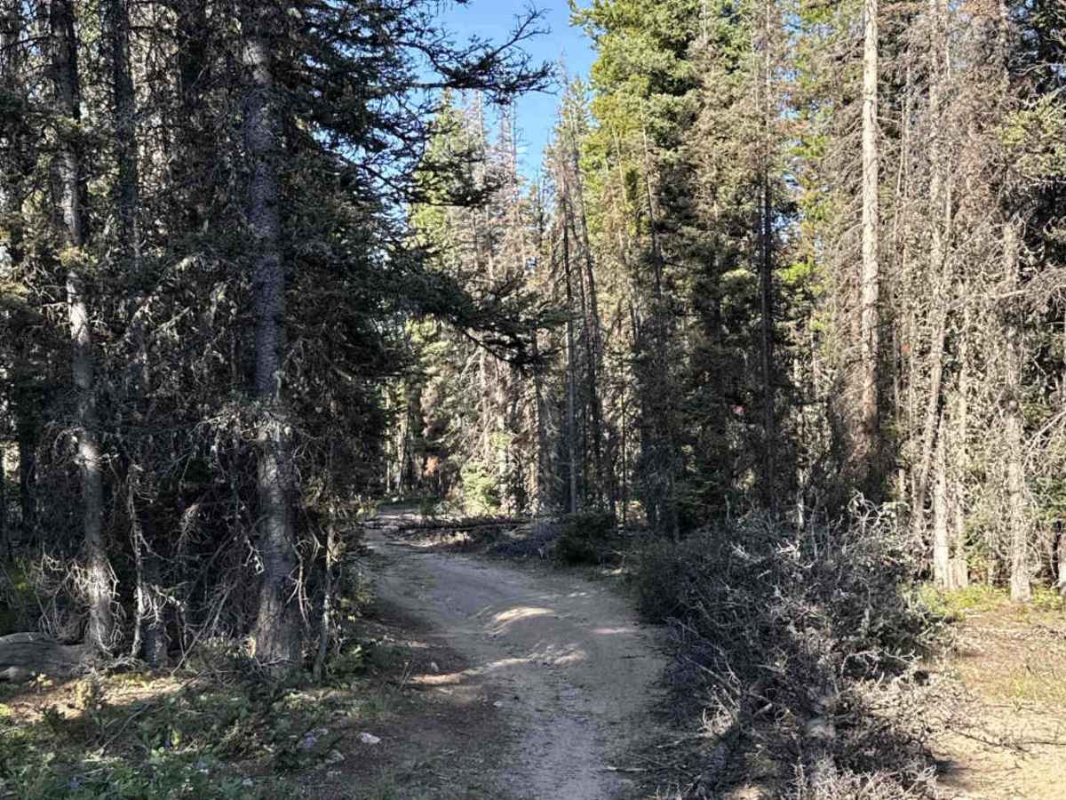Green Ridge Road photo 2