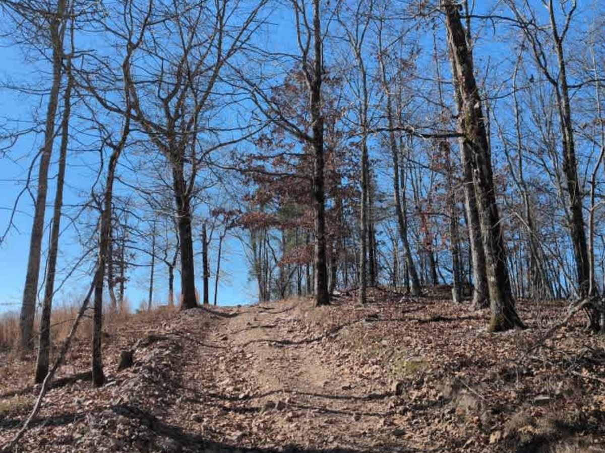 E12 Prothane Point photo 6