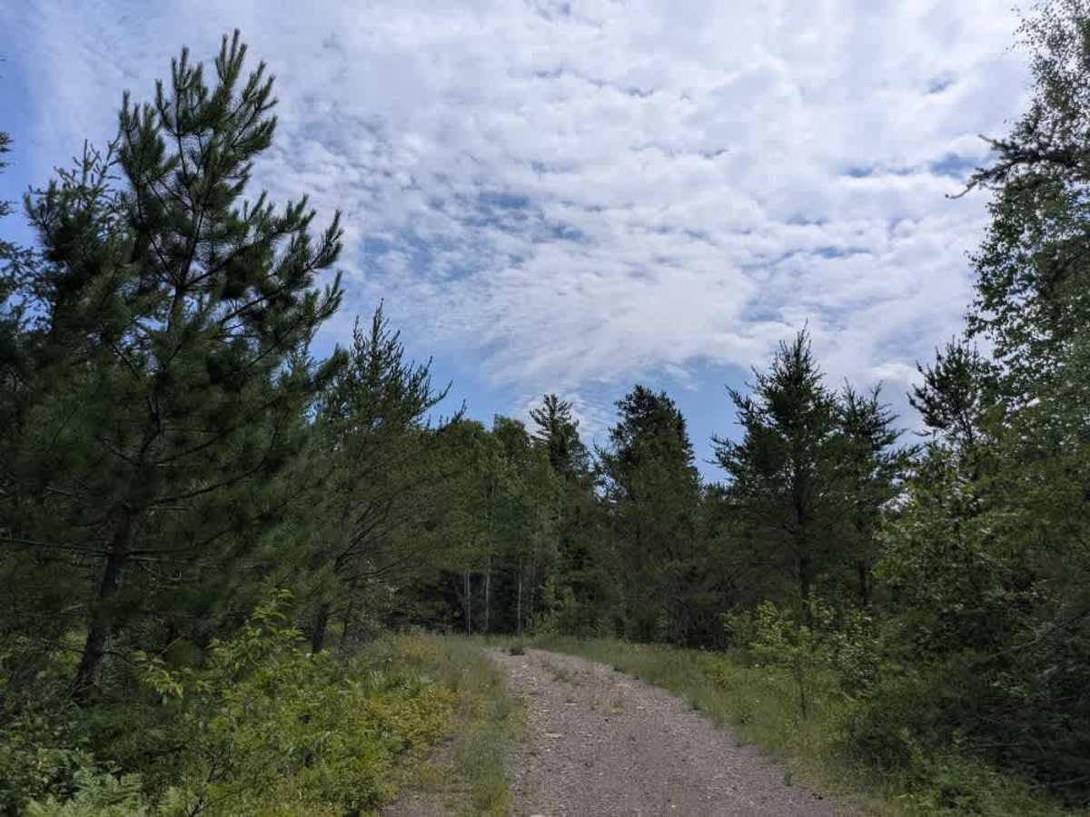 Tomlinson Lake Trail photo 6