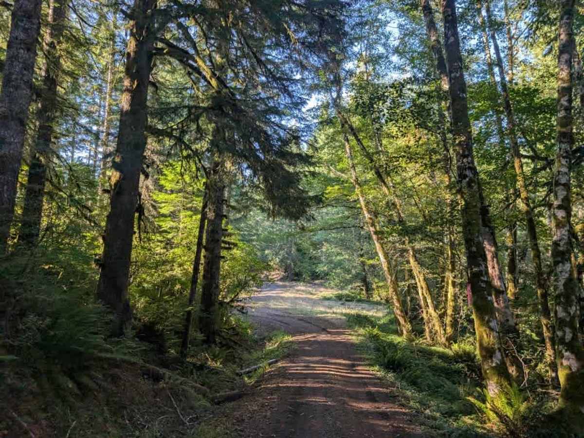 1850 trail photo