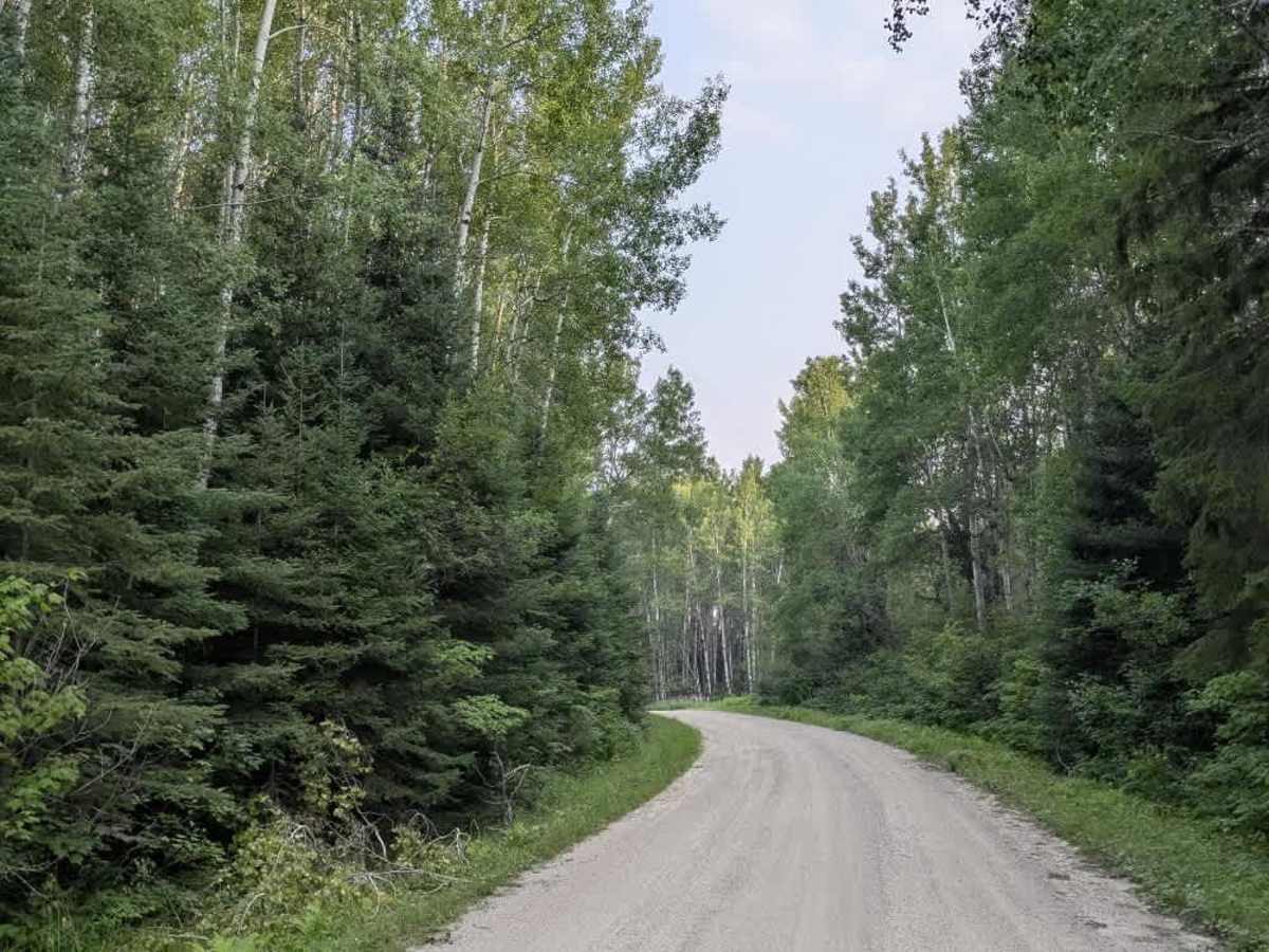 Elbow Lake photo 6