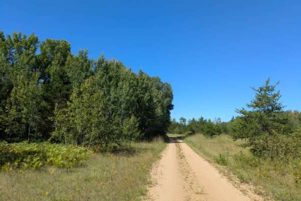 Swartz Forest Road