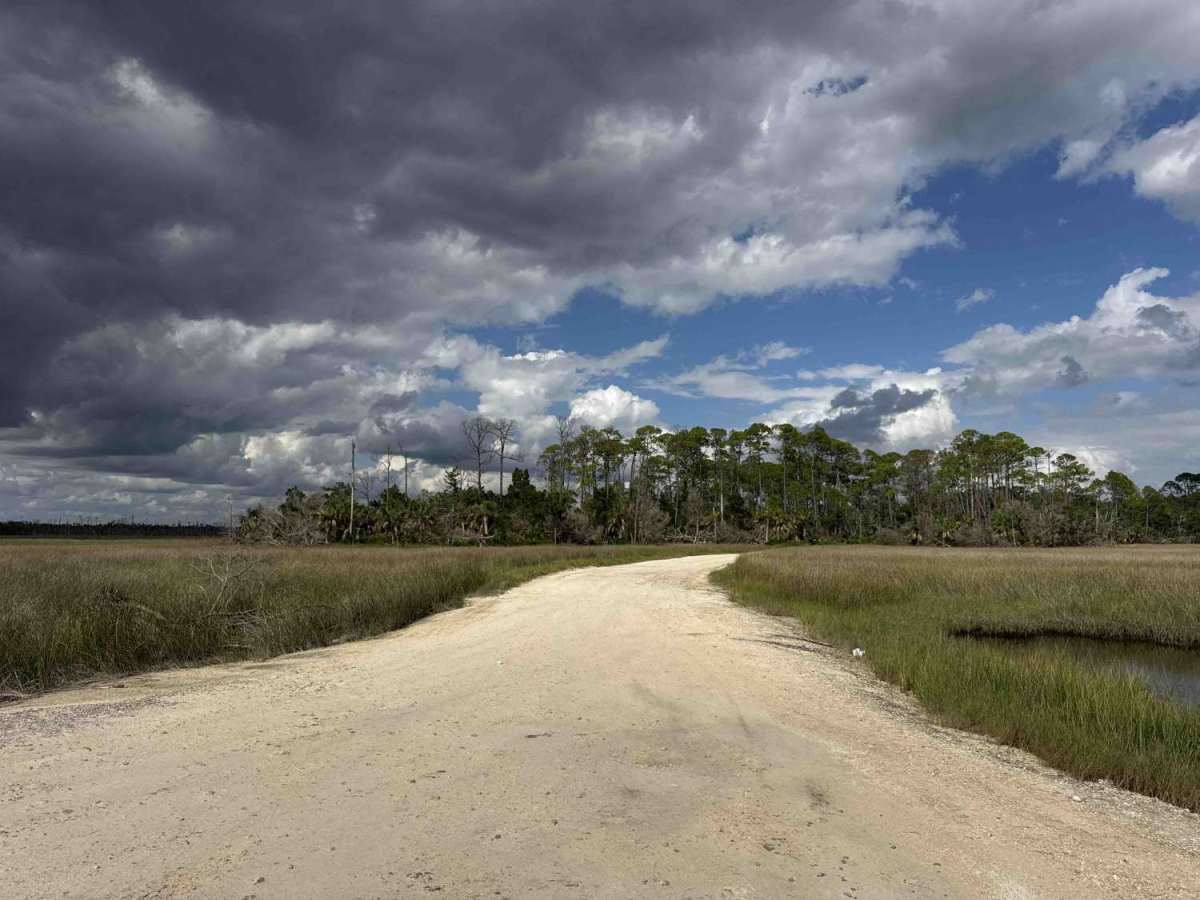 Fishbone Creek Road trail photo