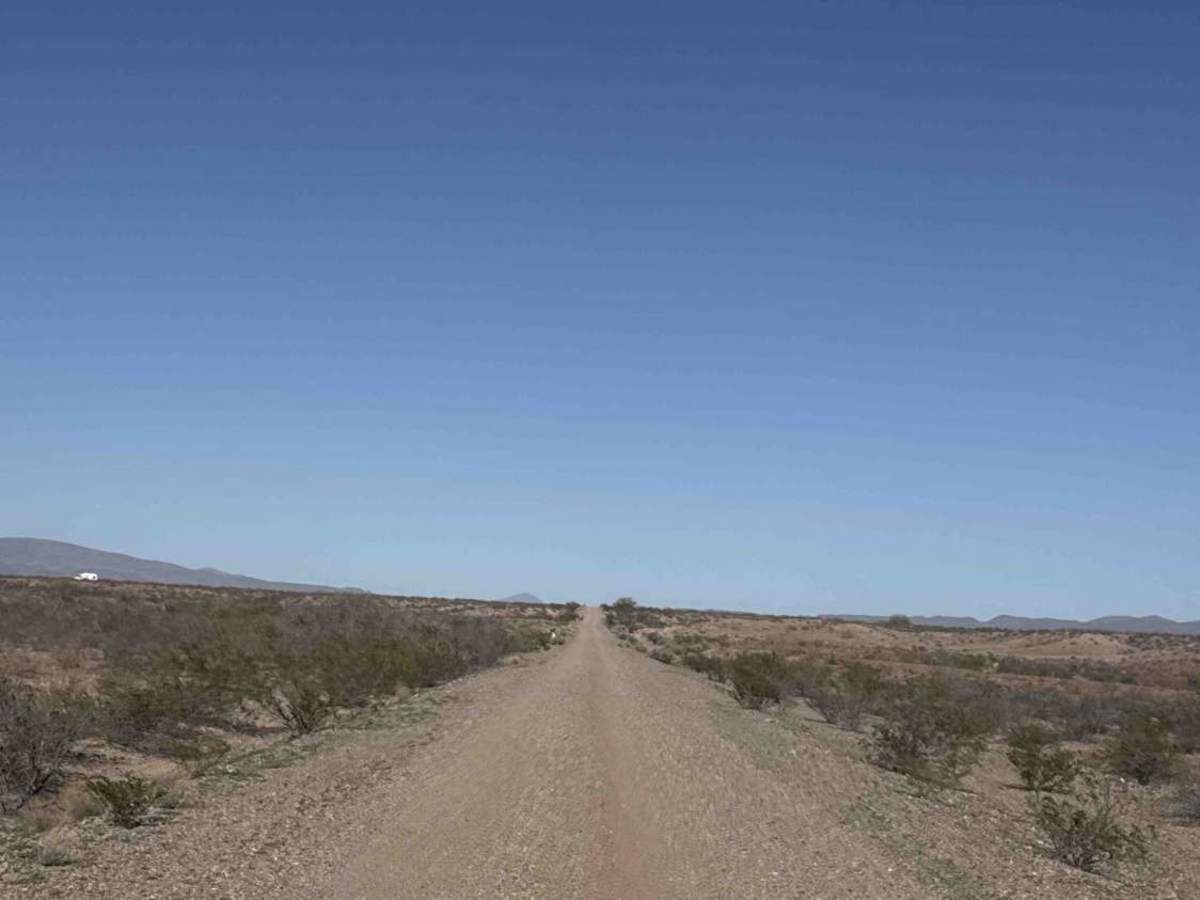 Ss1022 photo 2