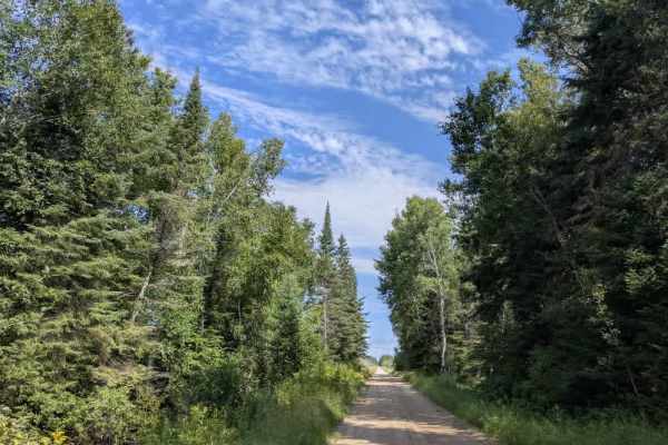 Faunce Forest Road