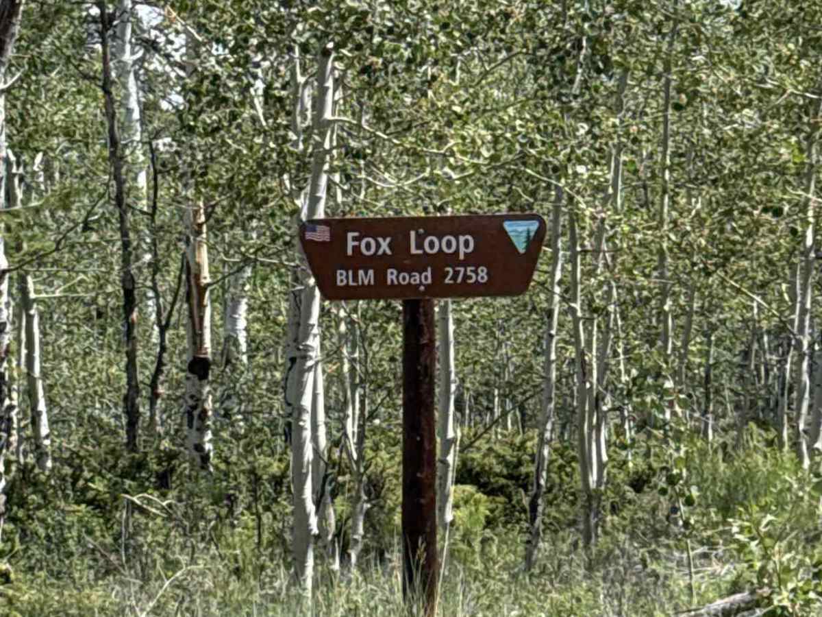Fox Loop - BLM 2758 photo 3