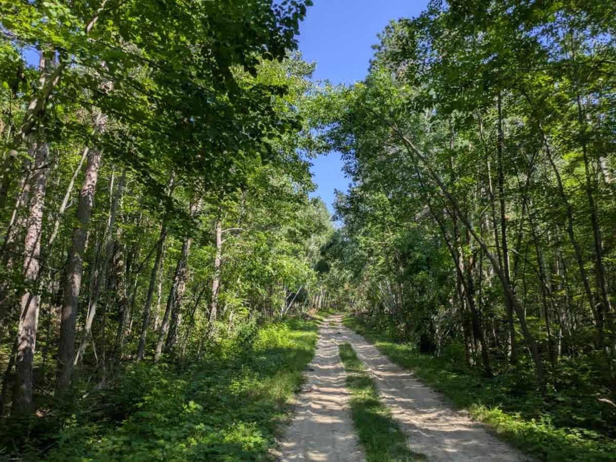 Camp Cassaway CT Southeast trail photo