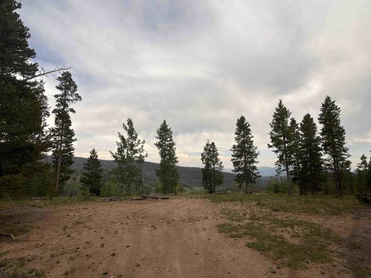 Sawmill Road - FS 241 photo 5